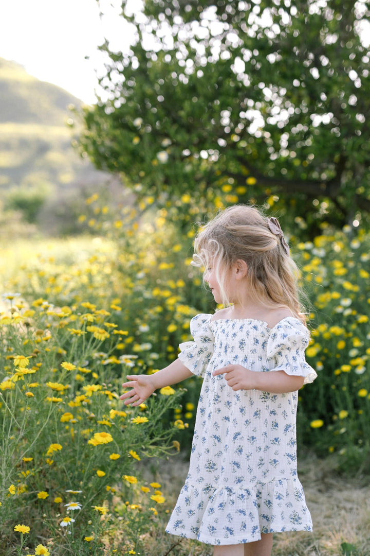 Mini Ezra Smocked Dress